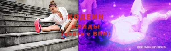 эйфоретик Алзамай
