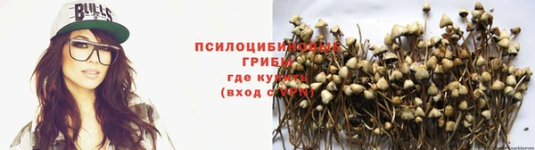 эйфоретик Алзамай