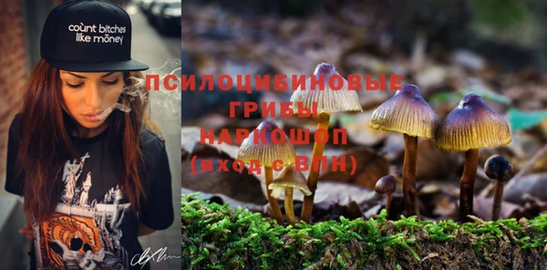 тгк Абинск